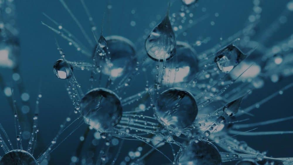 traitement ionisation par électrons accélérés