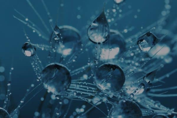 Principe, usages, atouts : qu’est-ce que la stérilisation par faisceau d’électrons ?